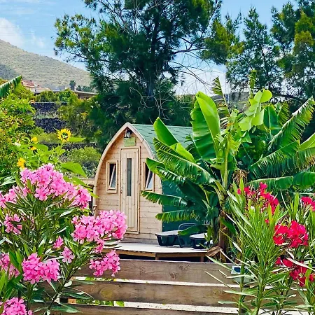 Lejlighed Amani Con Jacuzzi Climatizado Y Piscina Buzanada